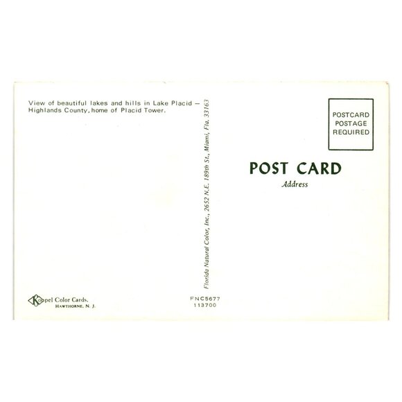 Lake Placid Florida Aerial View Vintage Postcard Natural Scenery Collectible - Picture 2 of 2